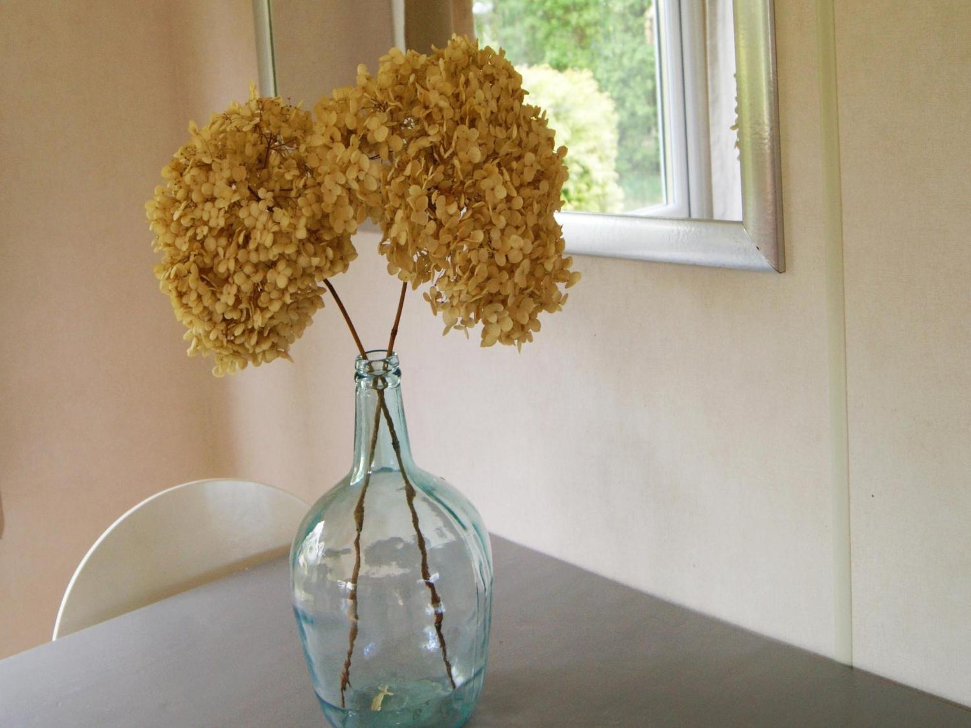 Cosy Holiday Home In Appelscha With Garden Bagian luar foto